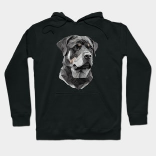 Rottweiler face Hoodie